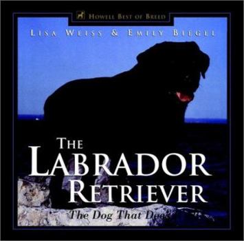 Paperback The Labrador Retriever: The Dog That Does It All Book