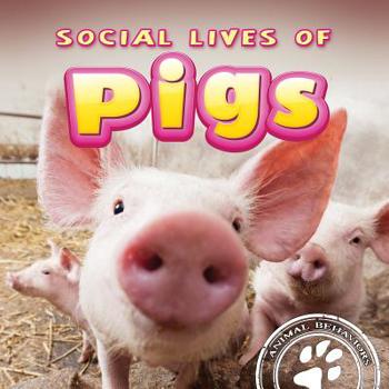 Paperback Social Lives of Pigs Book