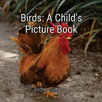 Paperback Birds: A Child's Picture Book