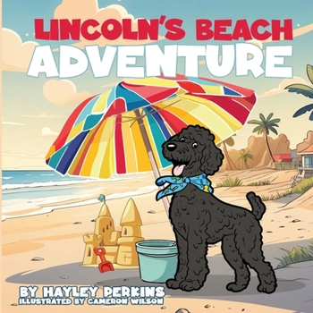 Paperback Lincoln's Beach Adventure Book