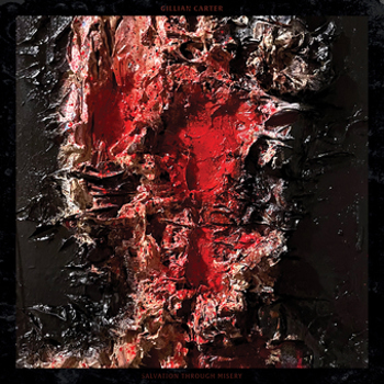 Vinyl Salvation Through Misery   Red Book