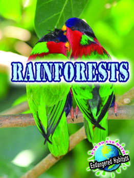 Paperback Rainforests Book