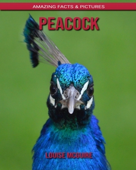 Peacock: Amazing Facts & Pictures