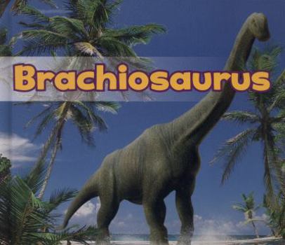 Hardcover Brachiosaurus (Acorn: All about Dinosaurs) Book