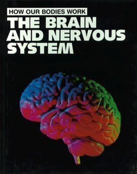 Library Binding The Brain and Nervous System Book