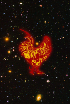 Paperback Tropical Sacrifice Book