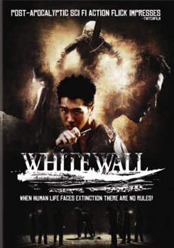 DVD White Wall Book