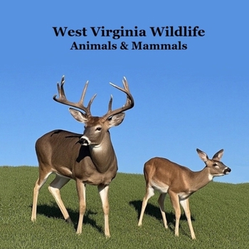 West Virginia Animals and Mammals Kids Wildlife Book: Great Wildlife Book about Animals and Mammals in West Virginia