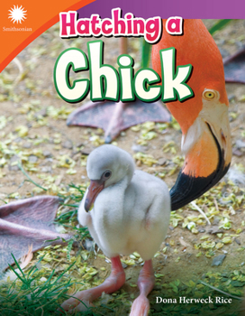 Paperback Hatching a Chick Book
