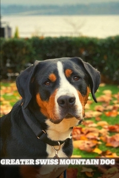 Paperback Greater Swiss Mountain Dog: Complete breed guide Book