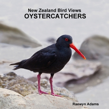Paperback New Zealand Bird Views: Oystercatchers Book