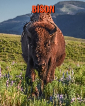 Bison: Sch?ne Bilder & Kinderbuch mit interessanten Fakten ?ber Bison