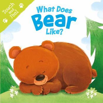 Board book What Does Bear Like (Touch & Feel): Touch & Feel Board Book