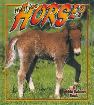 Paperback What Is a Horse? Book