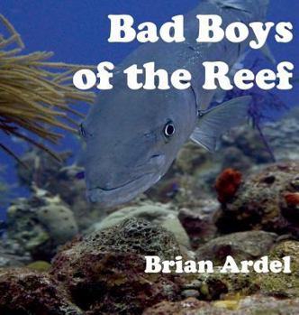 Hardcover Bad Boys of the Reef Book