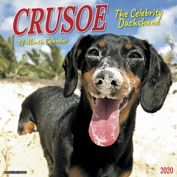 Crusoe the Celebrity Dachshund 2020 Calendar