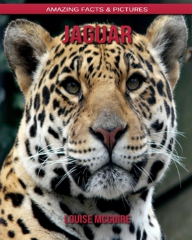 Jaguar: Amazing Facts & Pictures