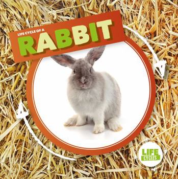 Hardcover Rabbit Book
