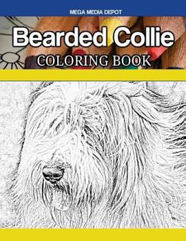 Paperback Bearded Collie Coloring Book