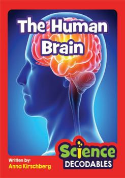 Human Brain : Phase 5 Science Decodable