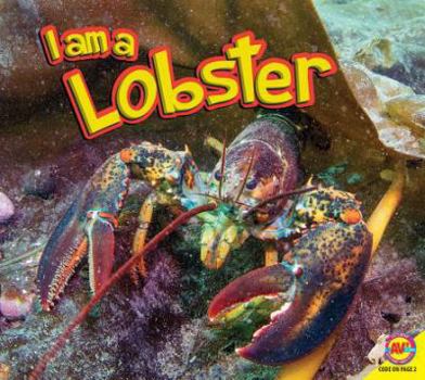 Paperback I Am a Lobster Book