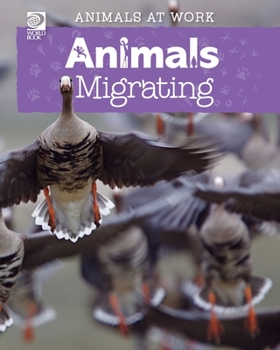 Paperback Animals Migrating Book