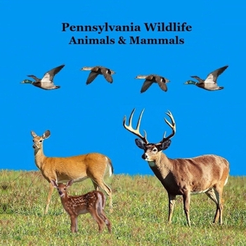 Pennsylvania Animals and Mammals Kids Wildlife Book: Great Wildlife Book about Animals and Mammals in Pennsylvania
