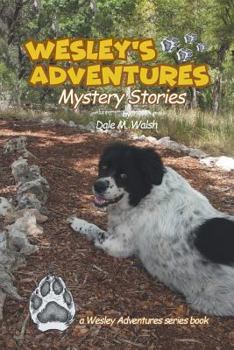 Paperback Wesley's Adventures: Mystery Stories Book