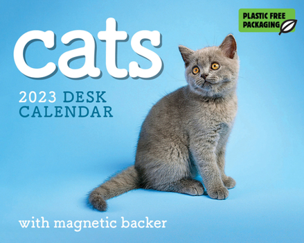 Calendar 2023 Cats Mini Box Calendar Book