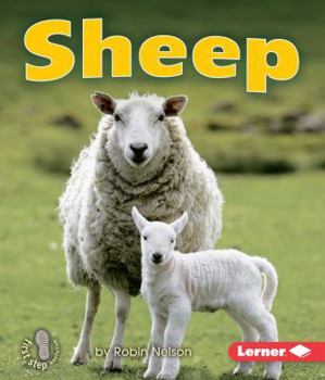Sheep (First Step Nonfiction - Farm Animals) - Book  of the First Step Nonfiction