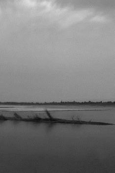 Paperback Landscape Notebook Book