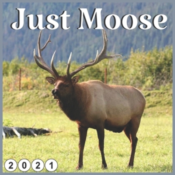 Paperback Just Moose: 2021 wall & Office Calendar 16 Monthe Book