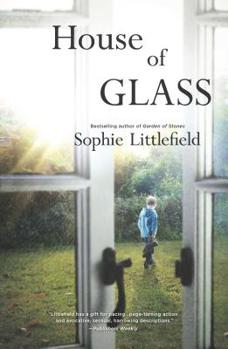 Paperback House of Glass Book