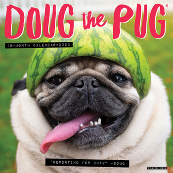Calendar Doug the Pug 2023 Wall Calendar Book