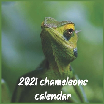 Paperback 2021 chameleons Calendar: wall & Office Calendar 16 Monthe Sep.2020 to Dec.2021 Book