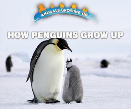 Library Binding How Penguins Grow Up Book