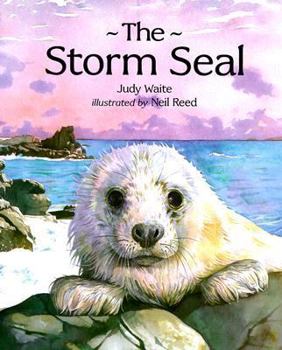 Hardcover The Storm Seal Book