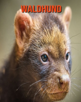 Waldhund: Sagenhafte Fotos & Buch mit lustigem Wissen ?ber Waldhund f?r Kinder