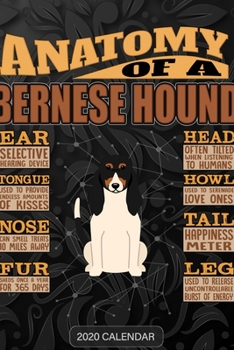 Paperback Anatomy Of A Bernese Hound: Bernese Hound 2020 Calendar - Customized Gift For Bernese Hound Dog Owner Book