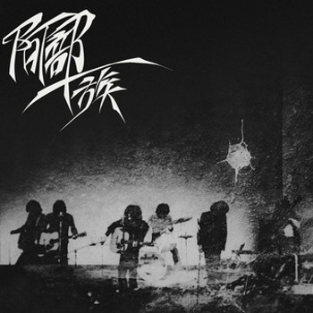 Vinyl Abeichizoku  Grey Vinyl Book