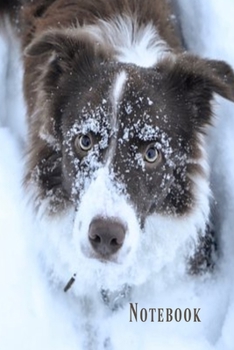 Notebook: Cute brown and white border collie dog in the snow lined paperback jotter