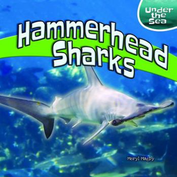 Paperback Hammerhead Sharks Book