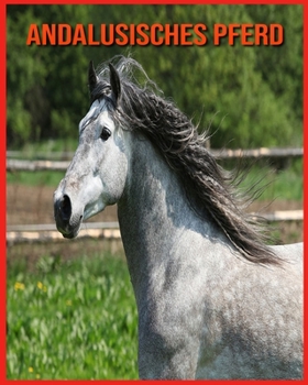 Andalusisches Pferd: Faszinierende Andalusisches Pferd Fakten f?r Kinder mit atemberaubenden Bildern!