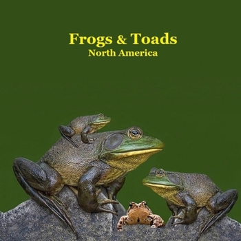 Paperback Frogs and Toads of North America Kids Book: Great Children's Book about the types of North American Frogs and Toads Book