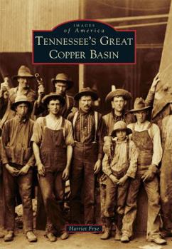 Paperback Tennessee's Great Copper Basin Book