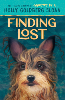 Paperback Finding Lost Book