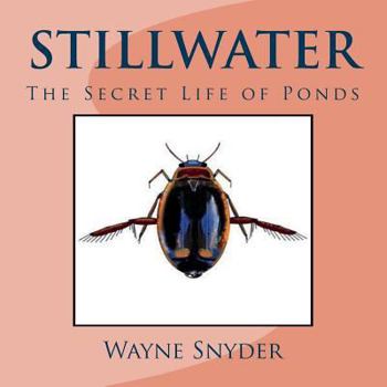 Paperback Stillwater: The Secret Life of Ponds Book