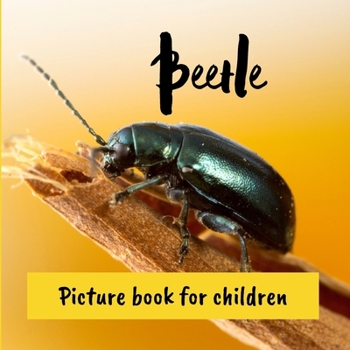 Paperback Beetle: Picture book for children Book