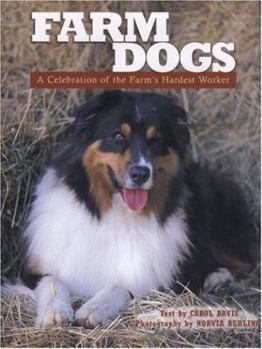 Hardcover Farm Dogs: A Celebration of the Farm's Hardest Worker Book