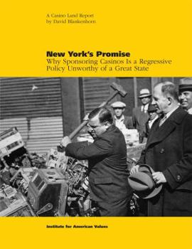Paperback New York's Promise: Why Sponsoring Casinos Is a Regressive Policy Unworthy of a Great State Book